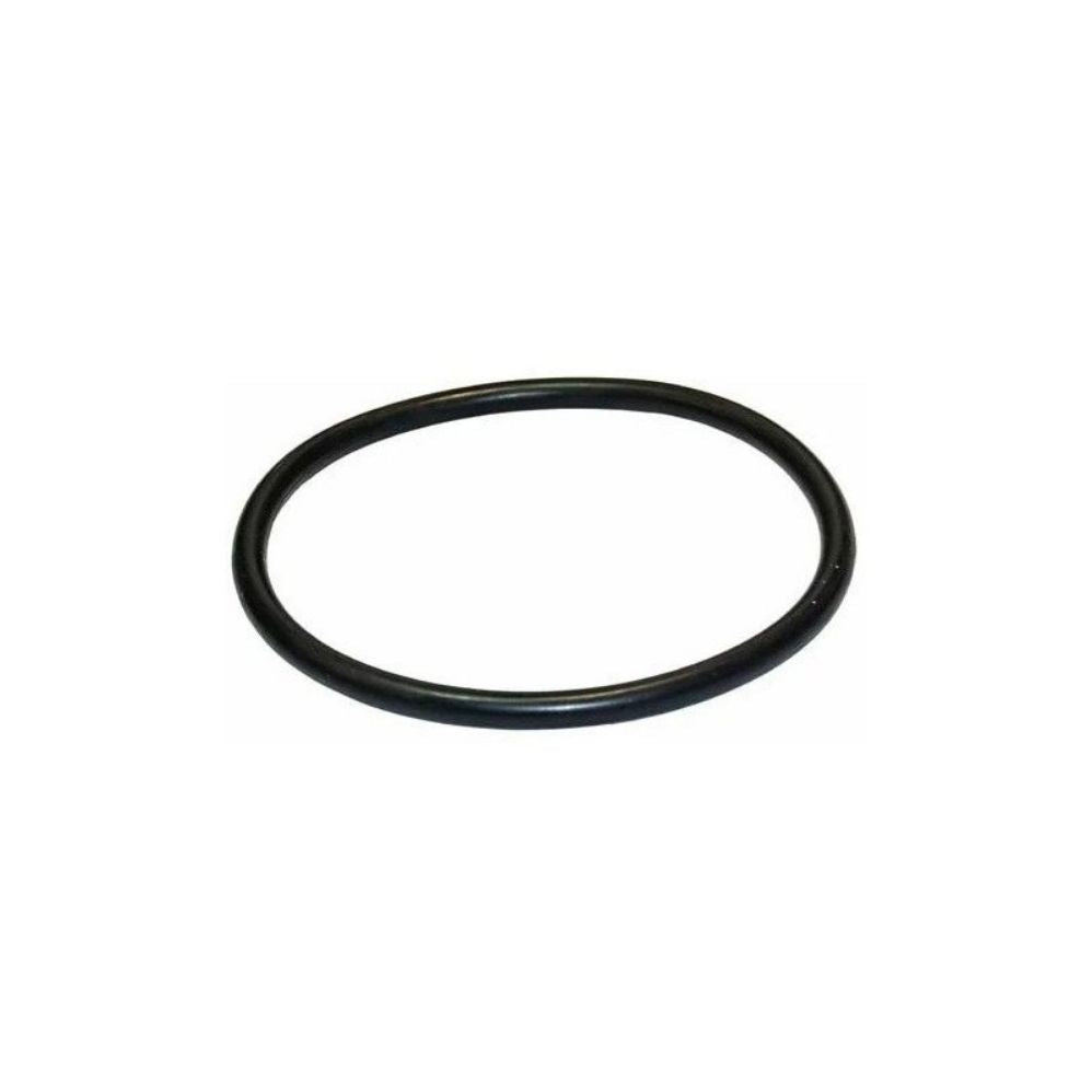 JUNTA ZUNCHO FILTRO MONOBLOCS 65431041080