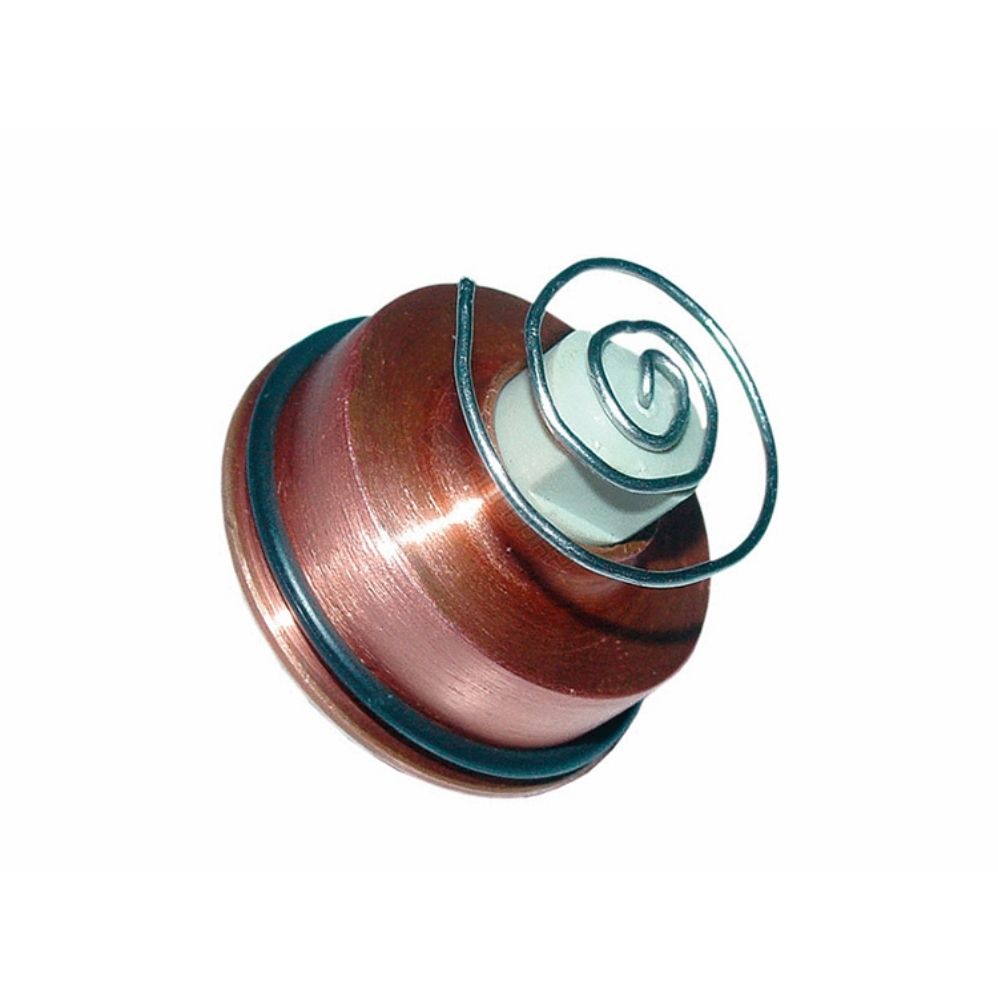 ELECTRODO PLATINO PANEL SERIE 800 RIC0151025