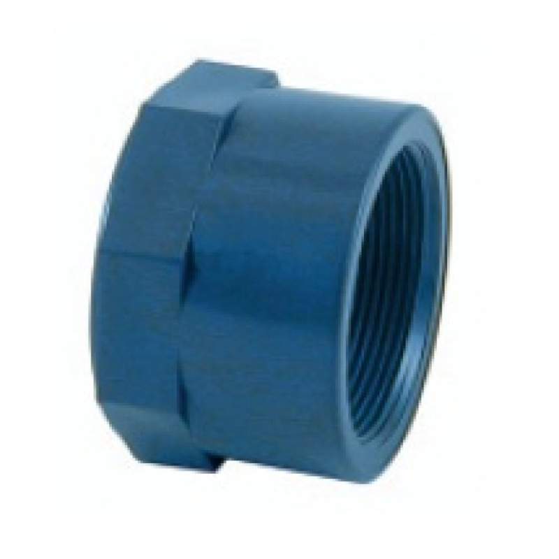 PLUGUE FÊMEA ROSQUEADO PVC 2-1/2" 01964