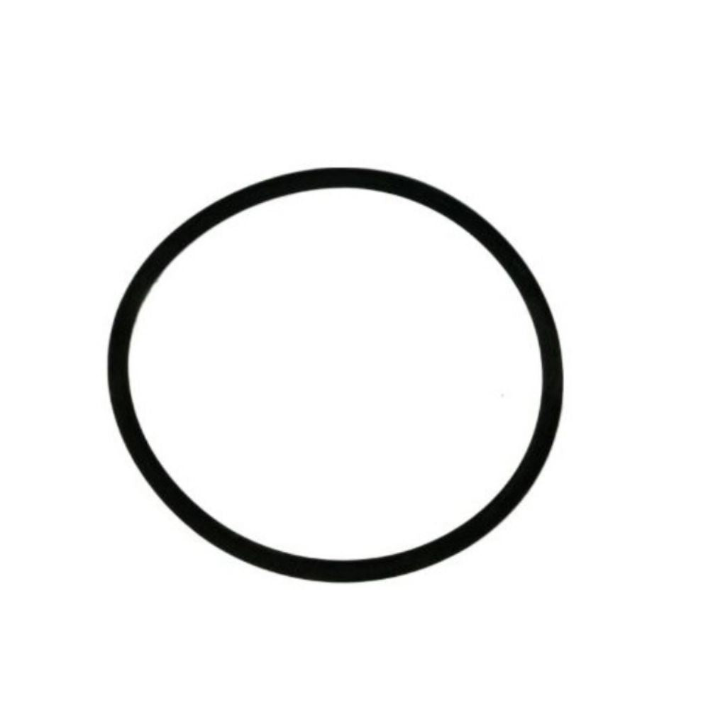 BOMBA DE FLIPPER COM FILTRO DE O-RING 1½" 304