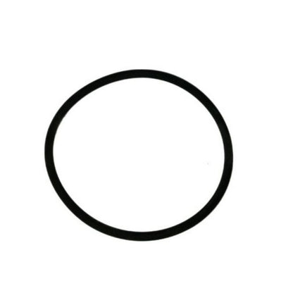 BOMBA DE FLIPPER COM FILTRO DE O-RING 1½" 304