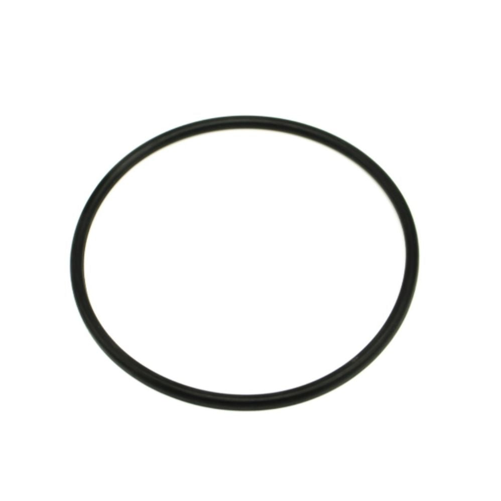 BOMBA DE FLIPPER COM FILTRO DE O-RING 2" 311