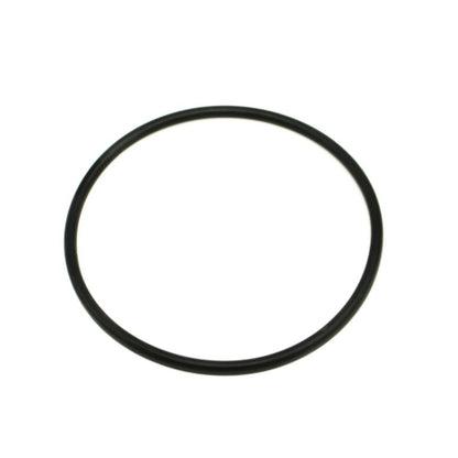 BOMBA DE FLIPPER COM FILTRO DE O-RING 2" 311