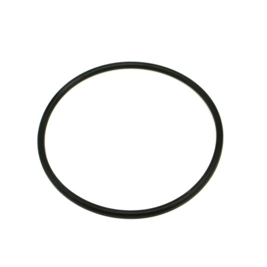 BOMBA DE FLIPPER COM FILTRO DE O-RING 2" 311