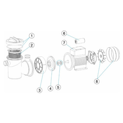 BOMBA MONOBLOCO P-XPERT 6 M00543