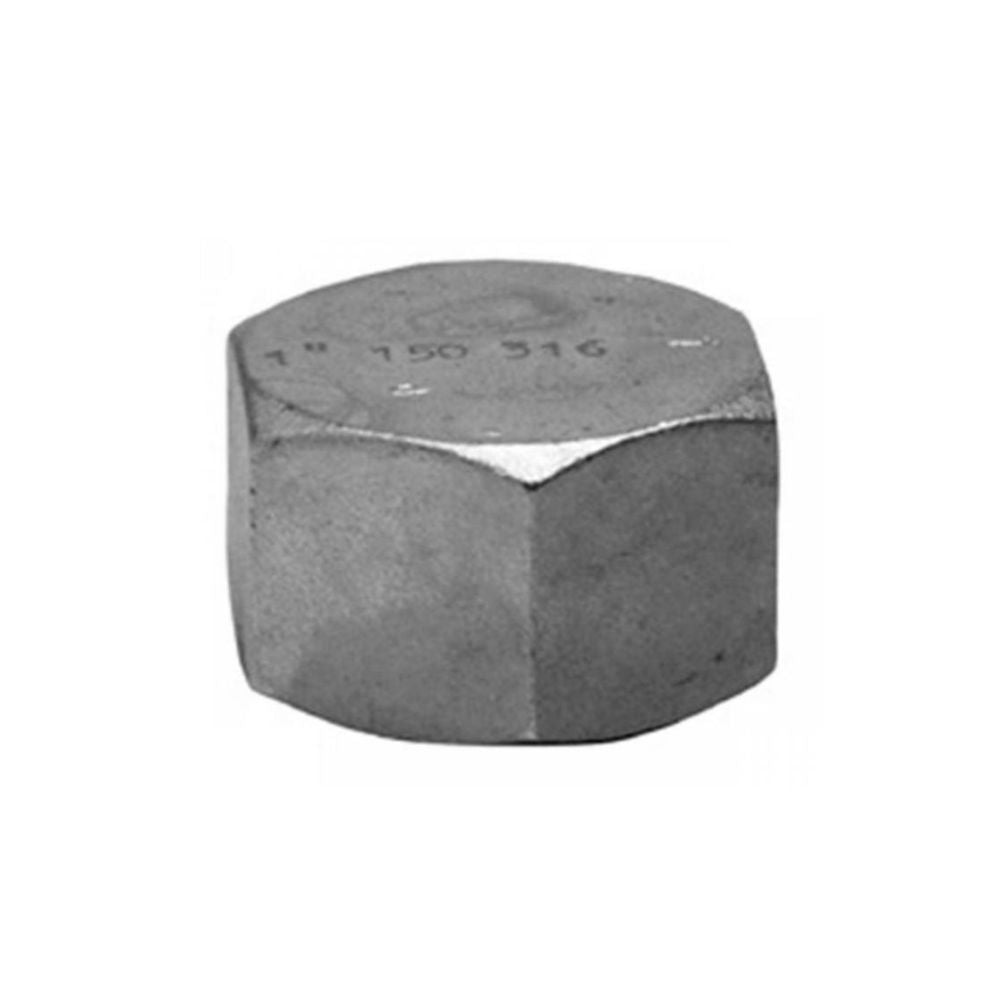 PLUGUE RH AÇO INOXIDÁVEL 316 4" 
